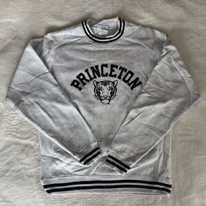 Champion Light Gray Sweatshirt with Black Princeton Tiger